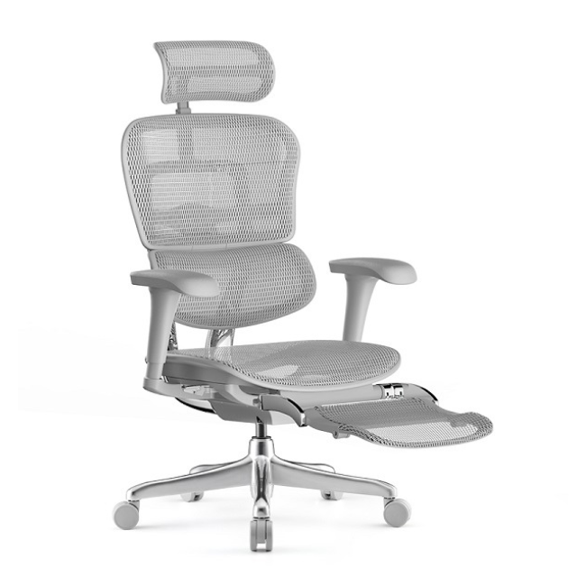 גודל 35 סמ - 2023-03-01T121113.733