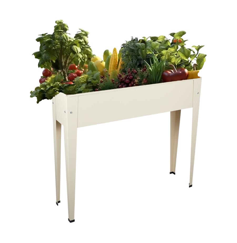 resized_1902cream-1000c_