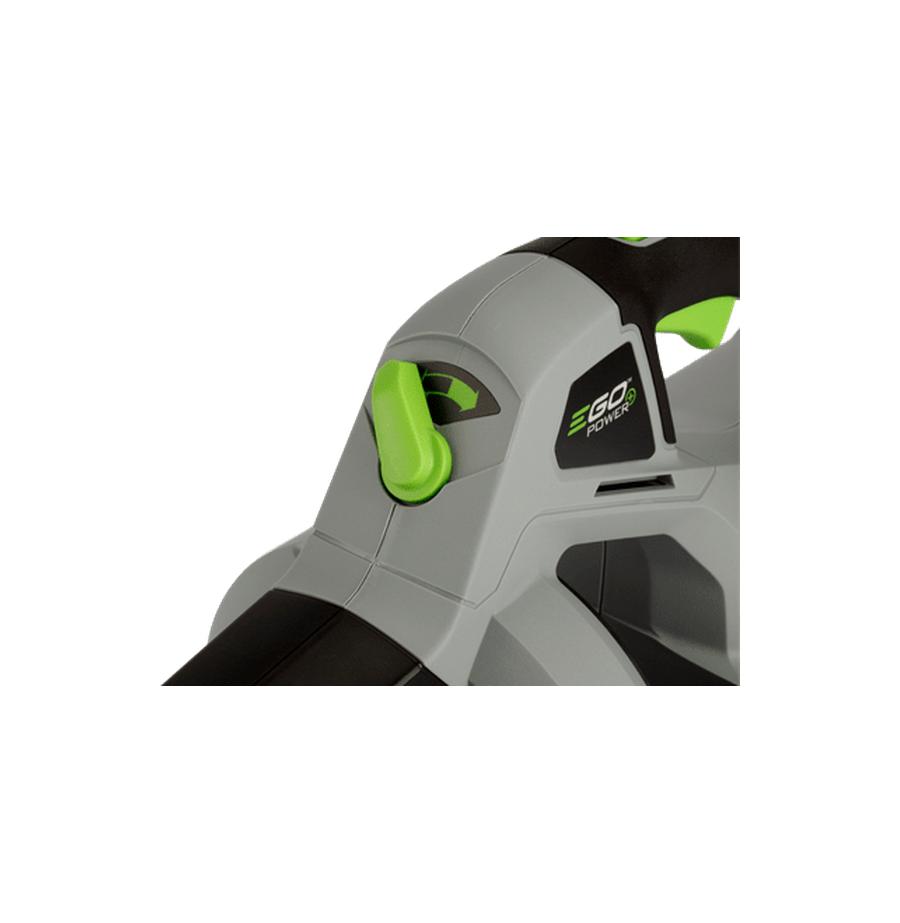 resized_2_