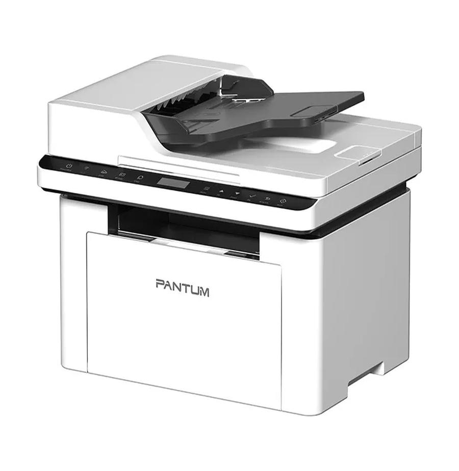 resized_Cat_485325_10322.webp_