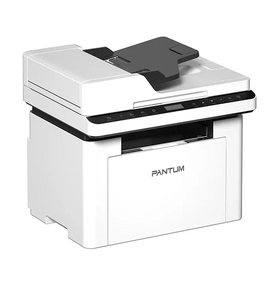 resized_Cat_485325_10319.webp_