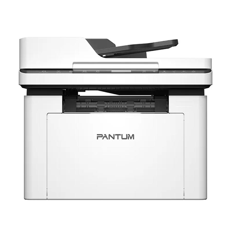 resized_Cat_485325_10320.webp_