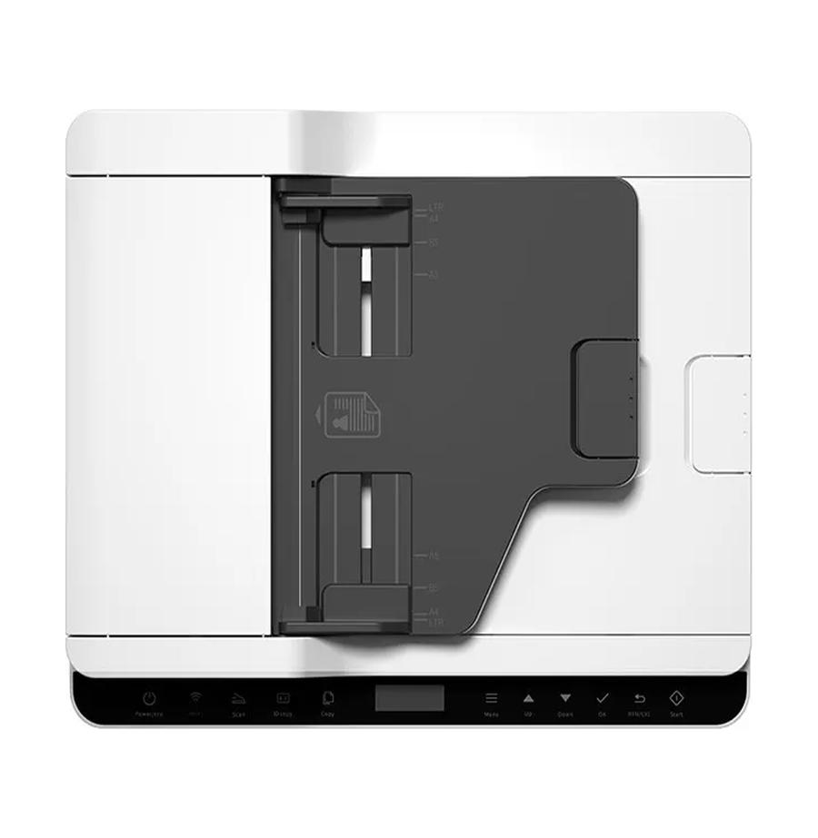 resized_Cat_485325_10321.webp_