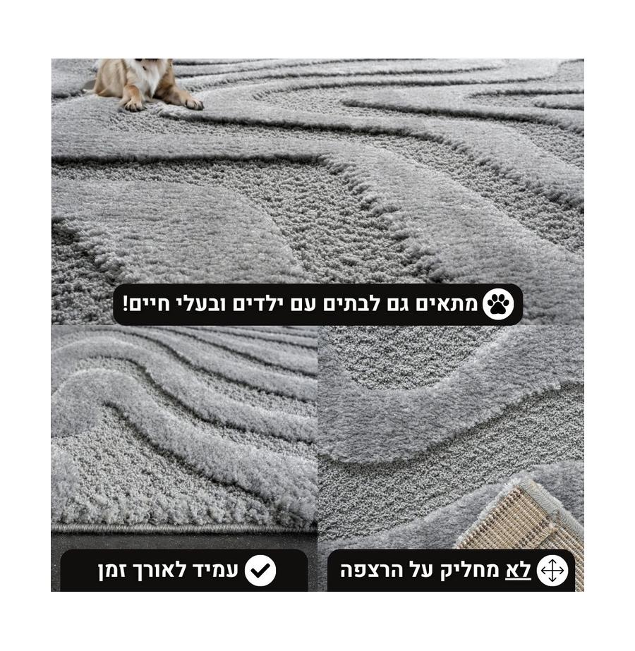 resized_3_carpetcarmelfloorsan1_