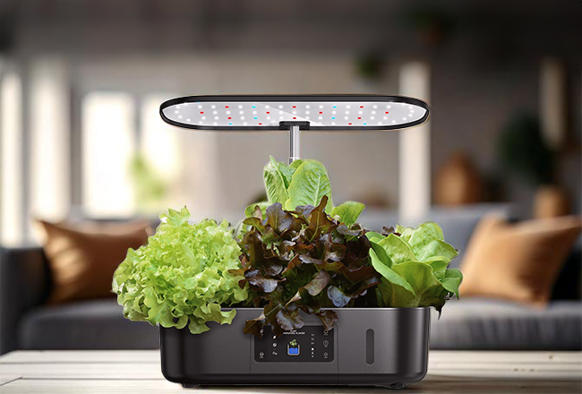 ערכה חשמלית