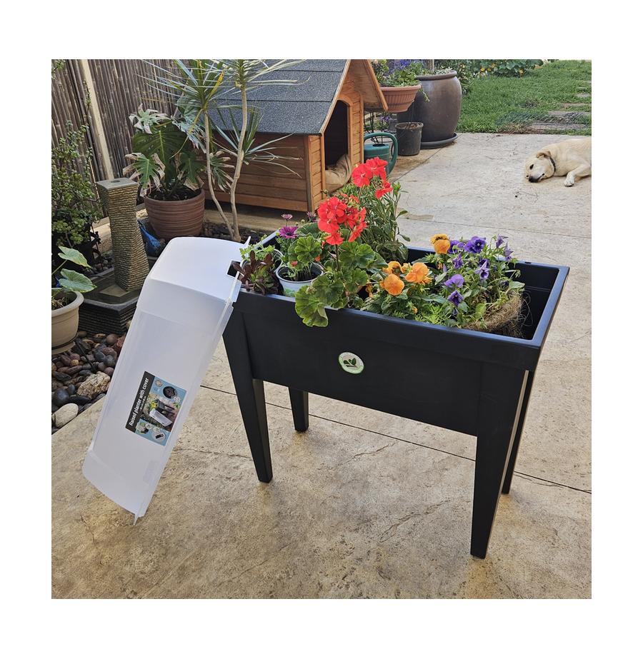 resized_54197500-1000d_