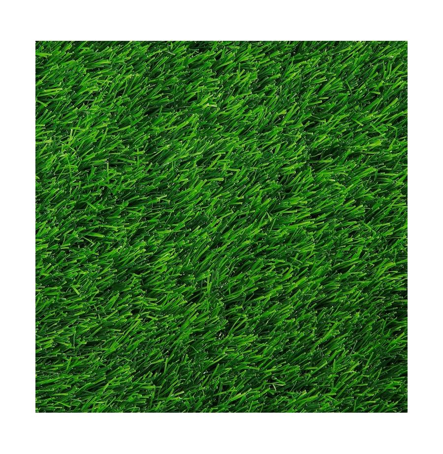 resized_5_
