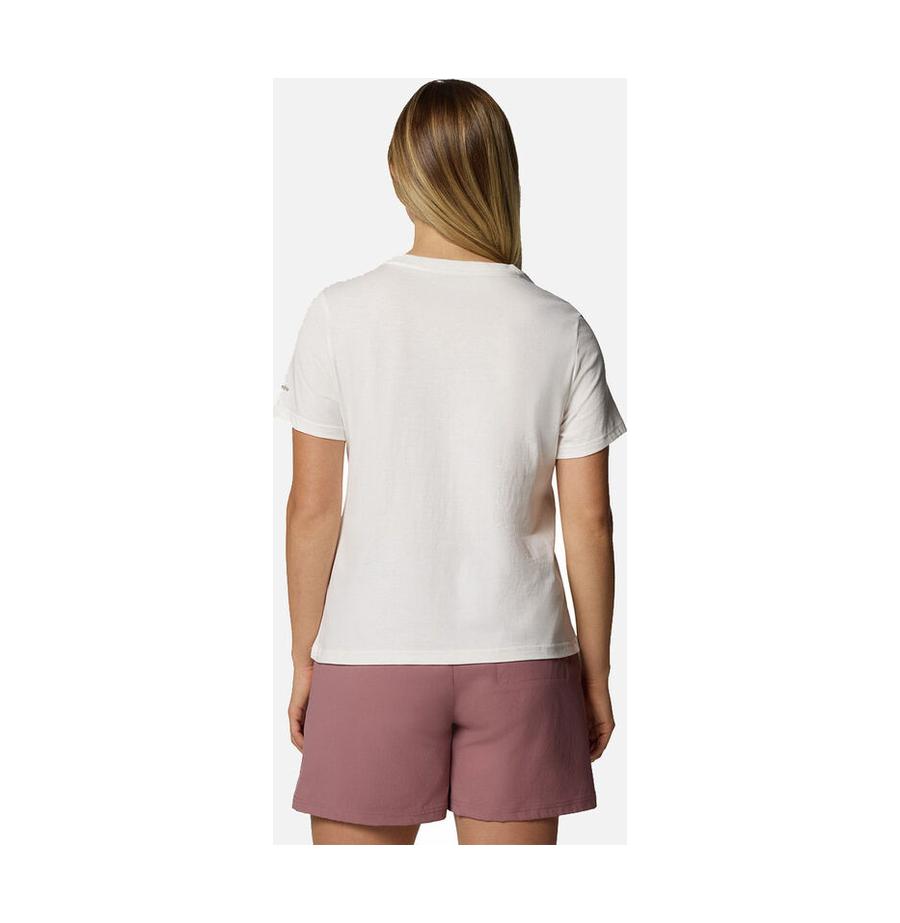 resized_2_