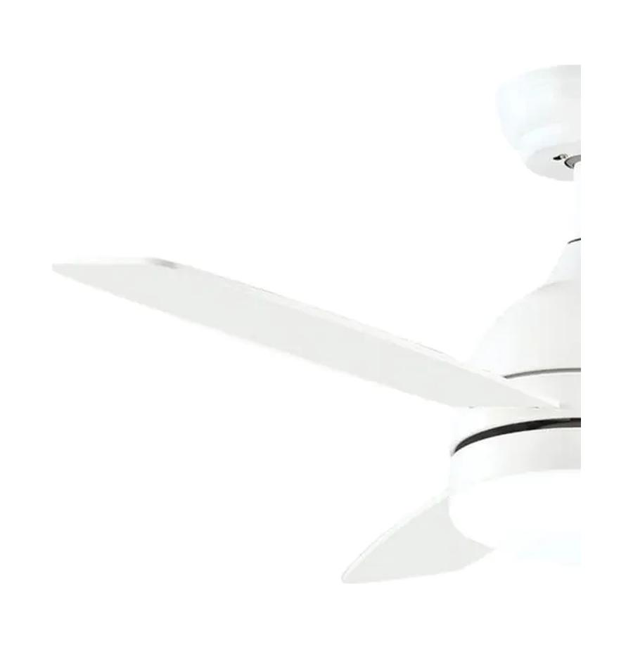 resized_4_