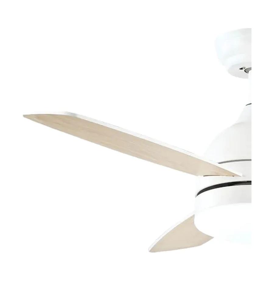 resized_5_