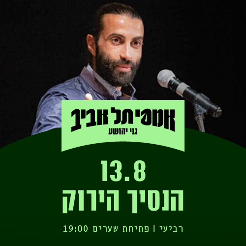 הנסיך הירוק_500X500_vad