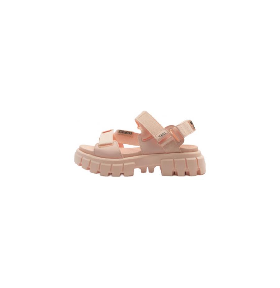 resized_1_