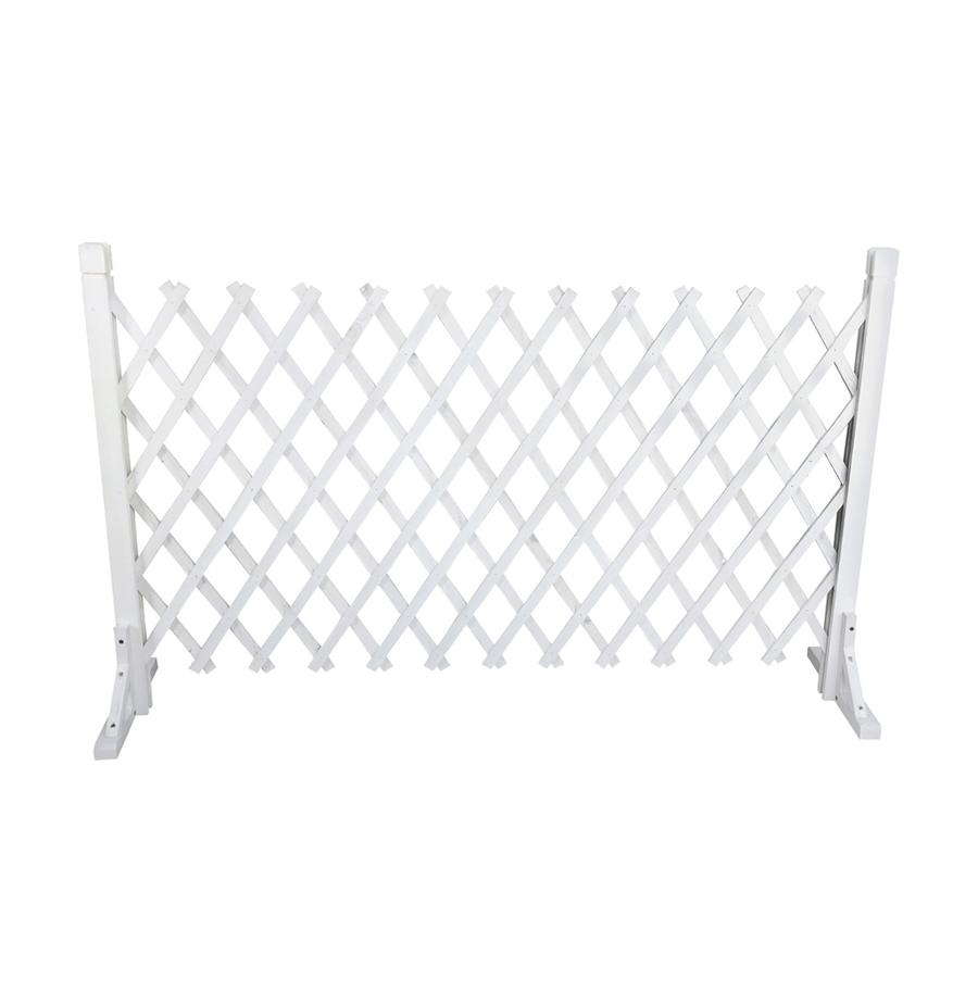 resized_1004W-1000c_