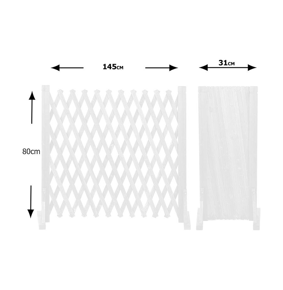 resized_1004W-1000b_