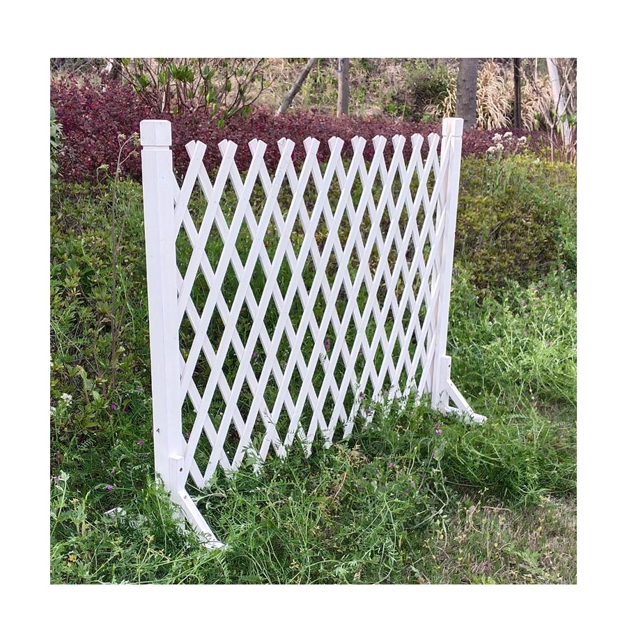 resized_1004W-1000d_