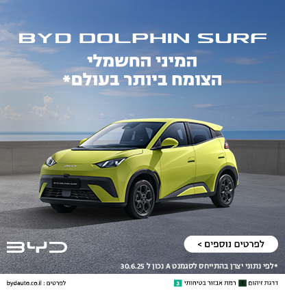 dolphin-surfbydnewpic