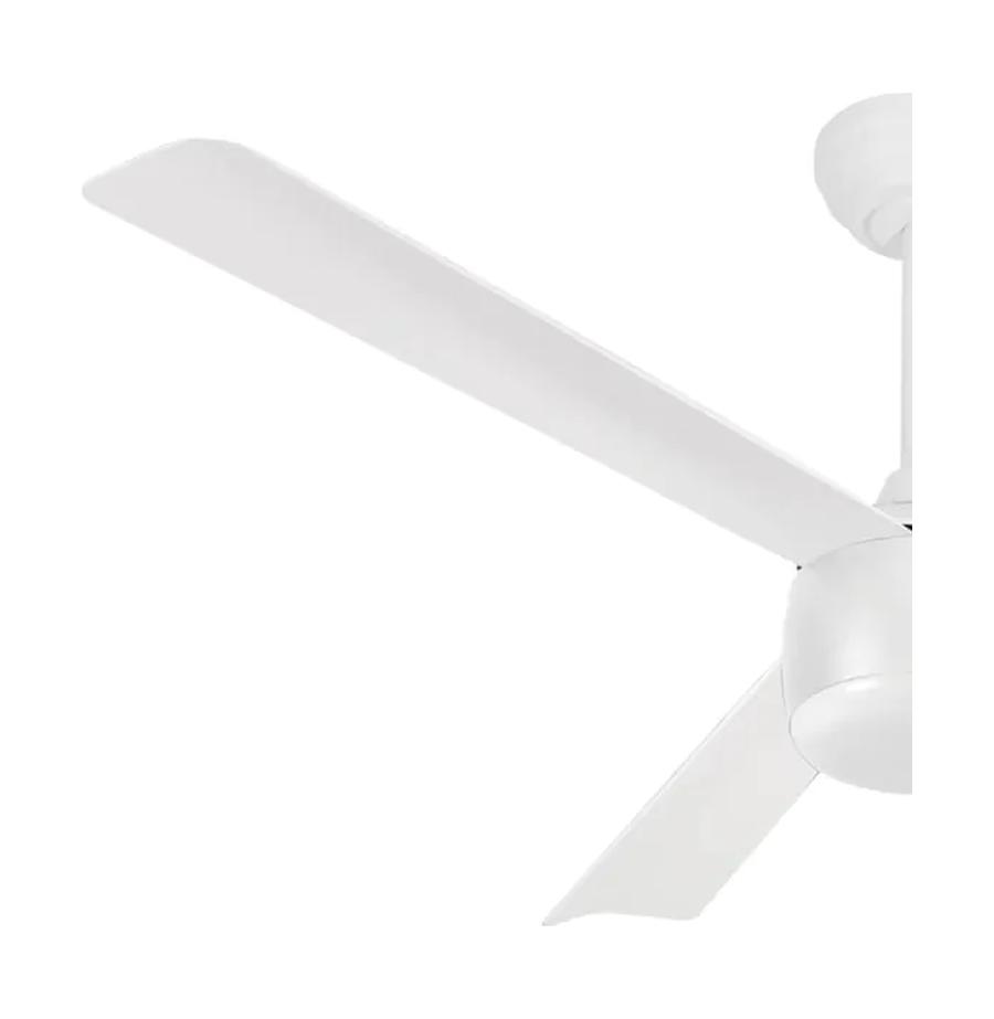 resized_4_