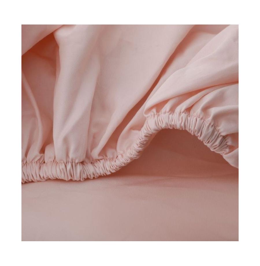 resized_4408_116-3-1740922166180401_