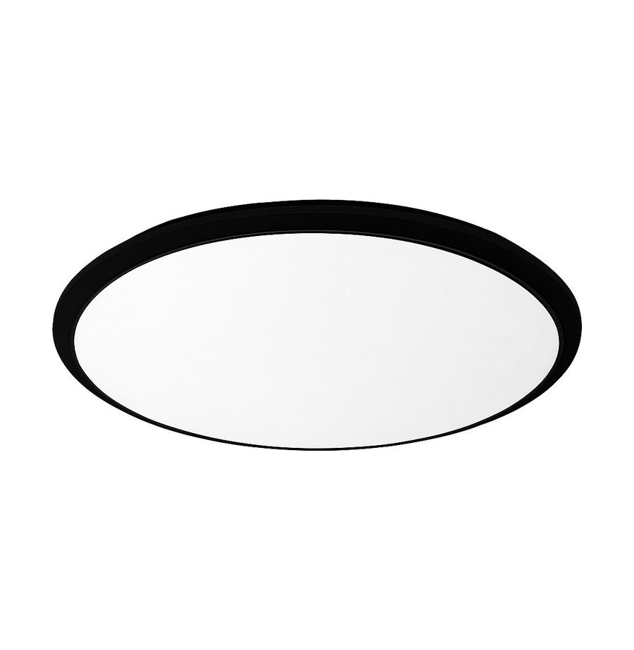 resized_1_