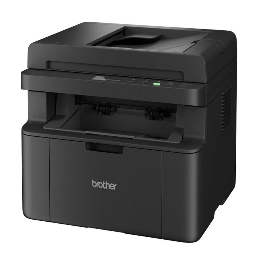 resized_Cat_485325_12255_