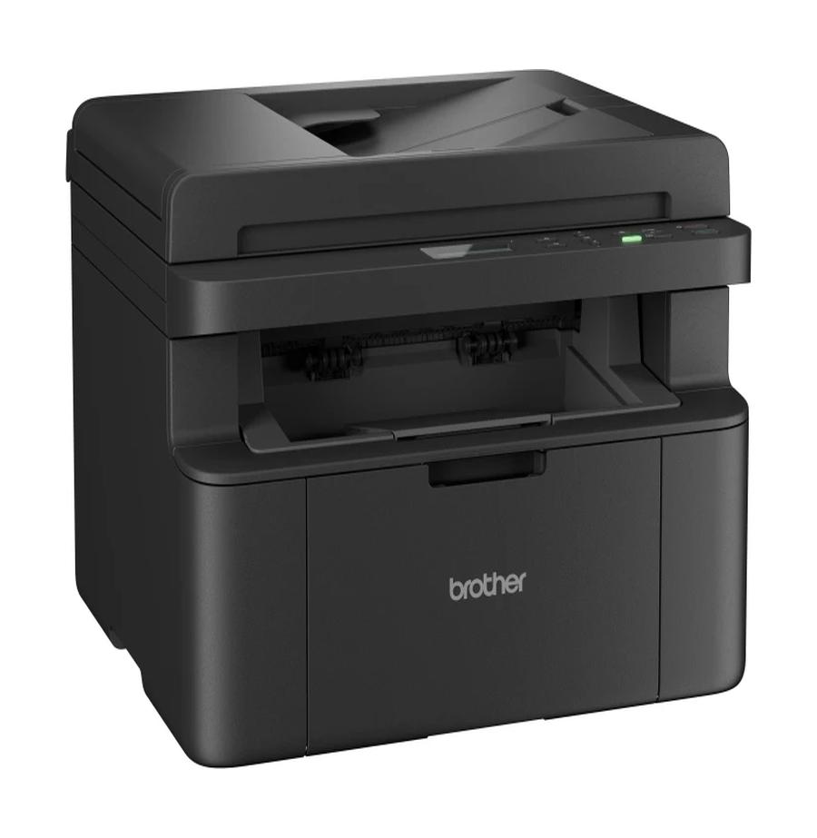 resized_Cat_485325_12254_