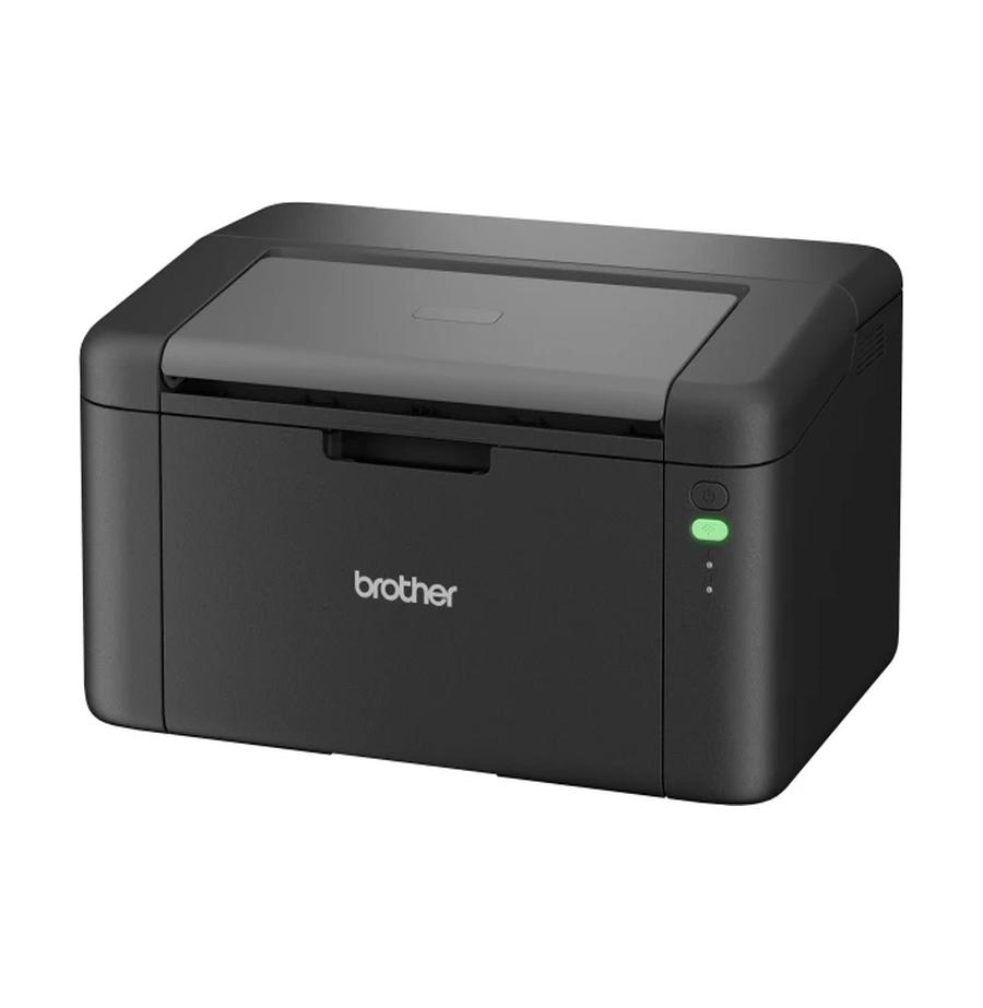 resized_Cat_485325_12250_