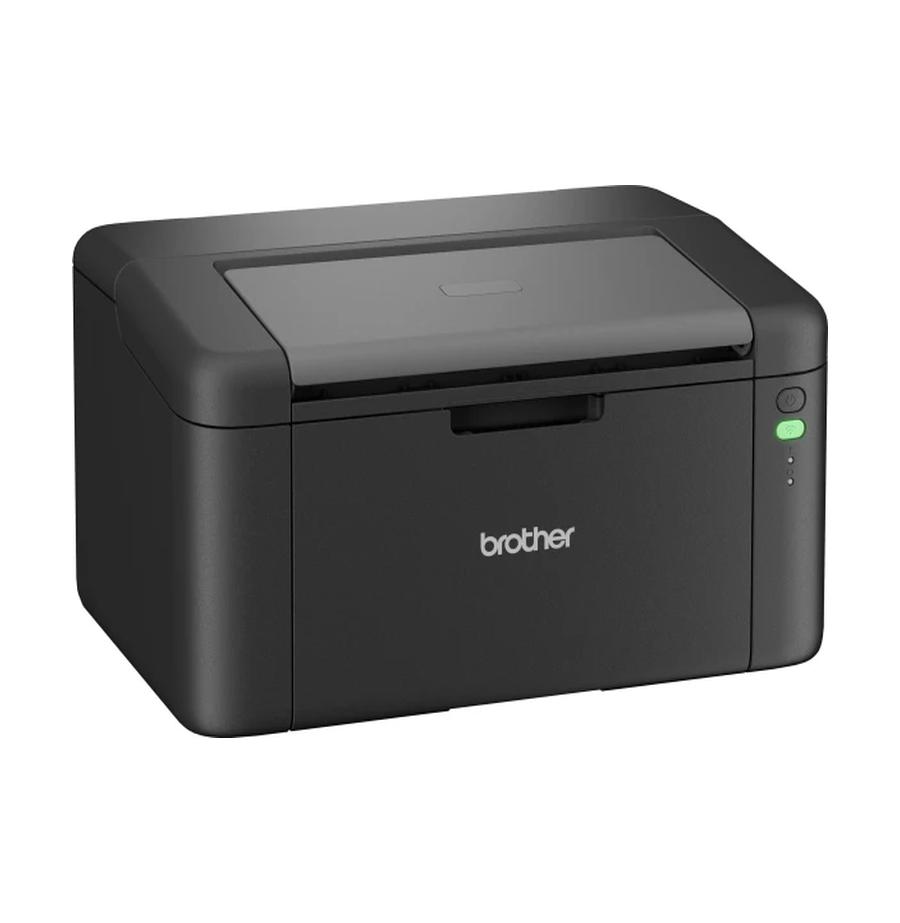 resized_Cat_485325_12249_