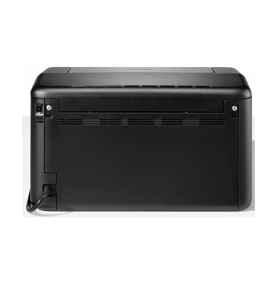 resized_Cat_485325_12248_