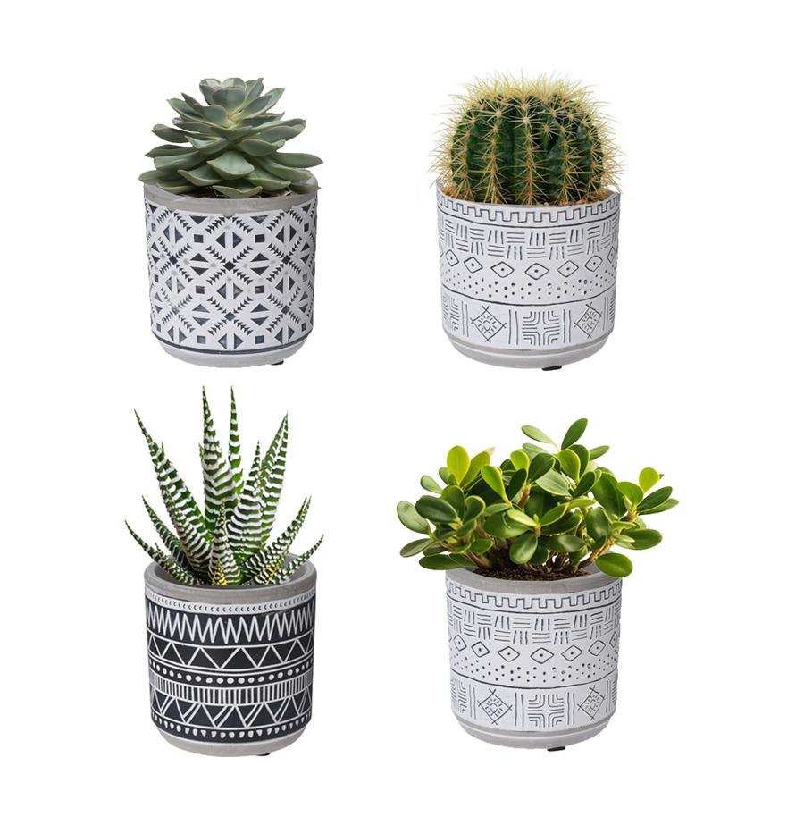 resized_5500-all-1000_