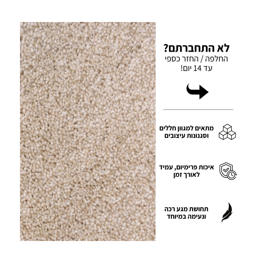 שטיח מאוריציוס 1 (2)