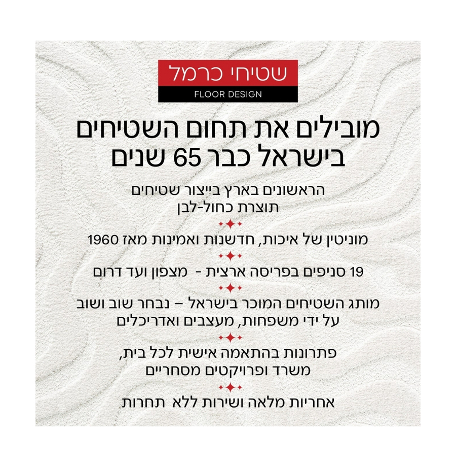 שטיח מאוריציוס 3 (5)