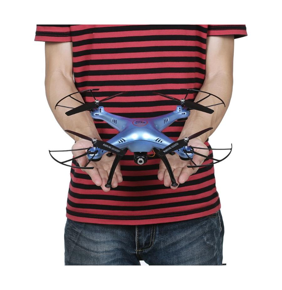 resized_Cat_450153_(5)_