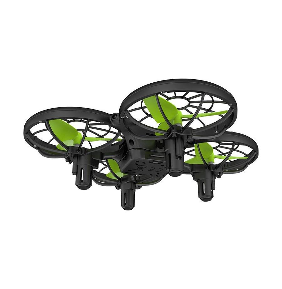 resized_Cat_450153_166_