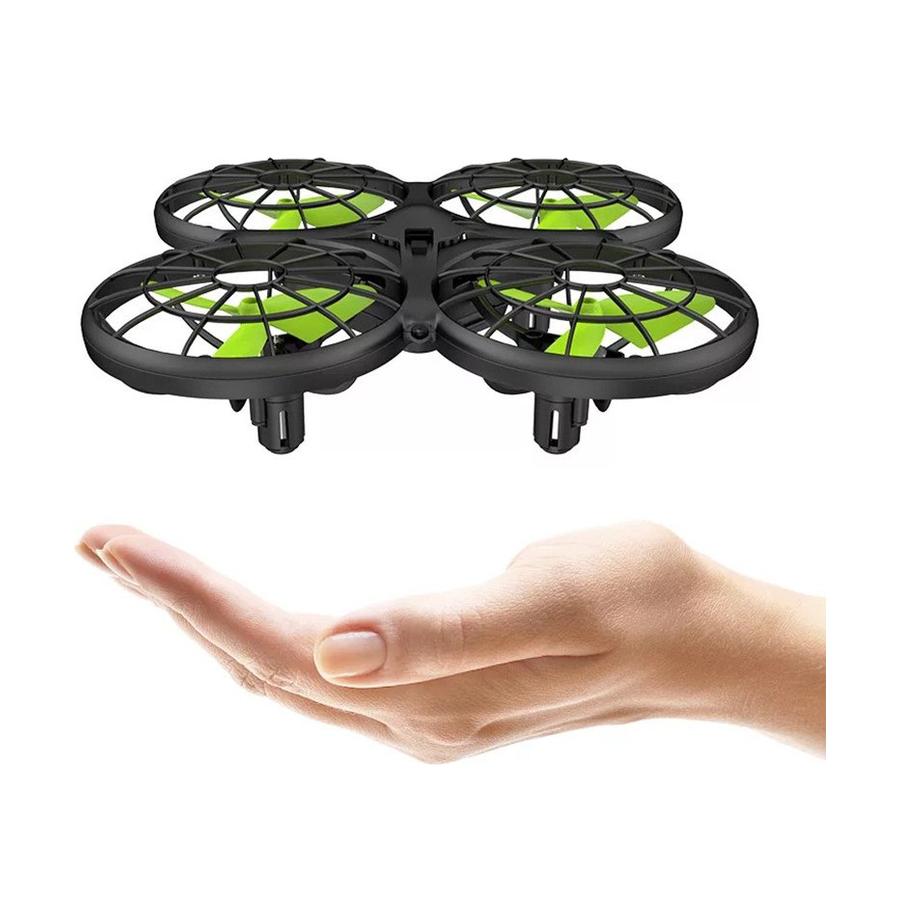 resized_Cat_450153_168_