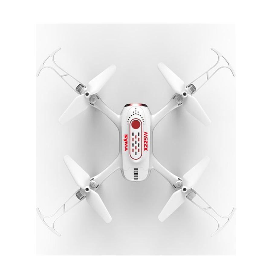 resized_Cat_450153_473_