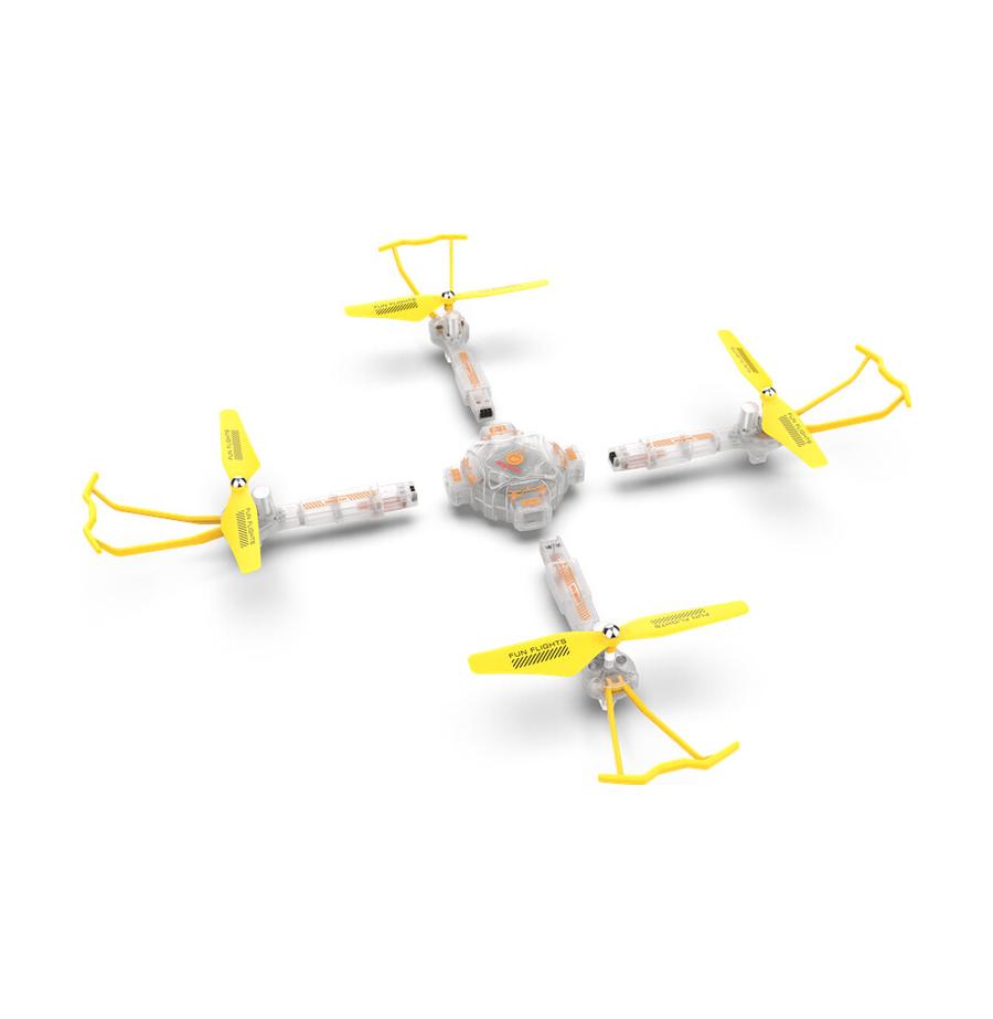 resized_Cat_450153_554_