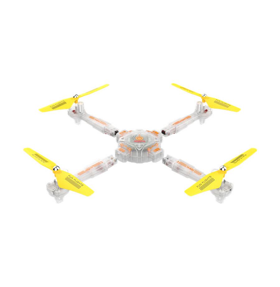 resized_Cat_450153_556_