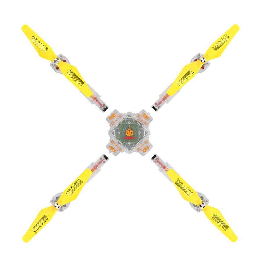 resized_Cat_450153_557_