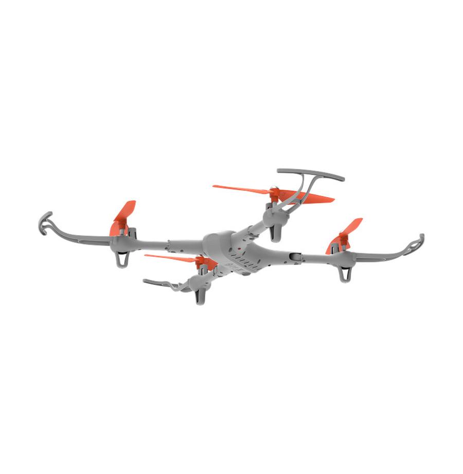 resized_Cat_450153_562_