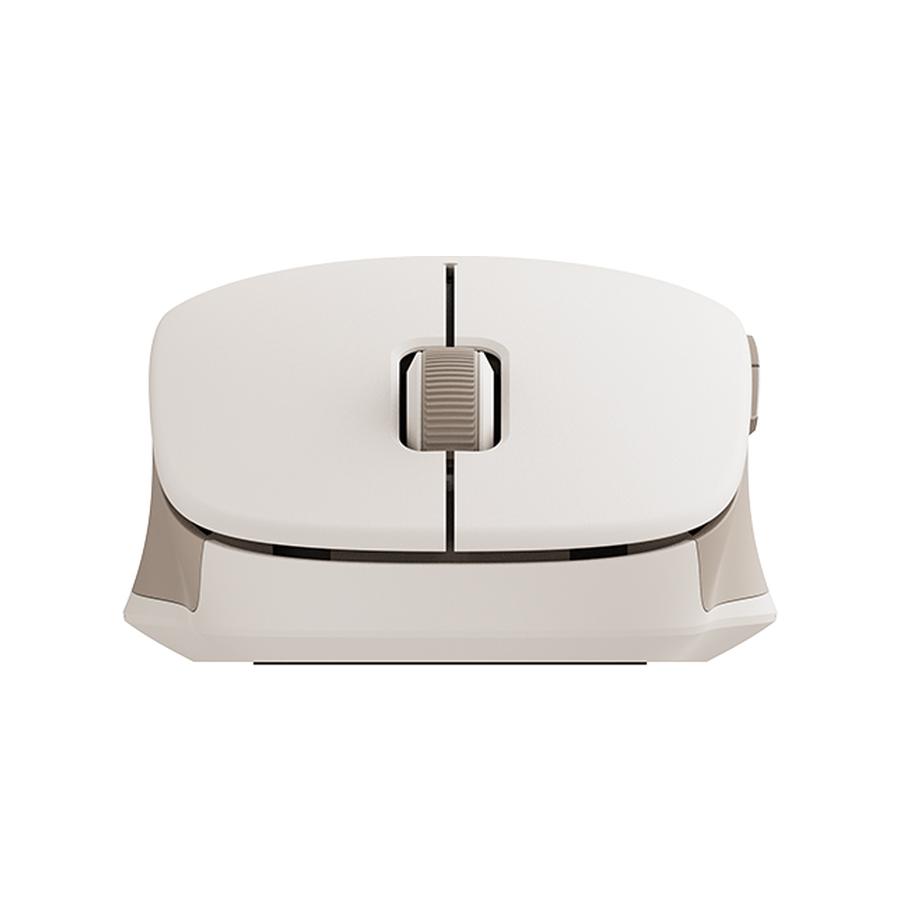 resized_b8031693-f3b6-4585-8a48-c03bf0d52782_