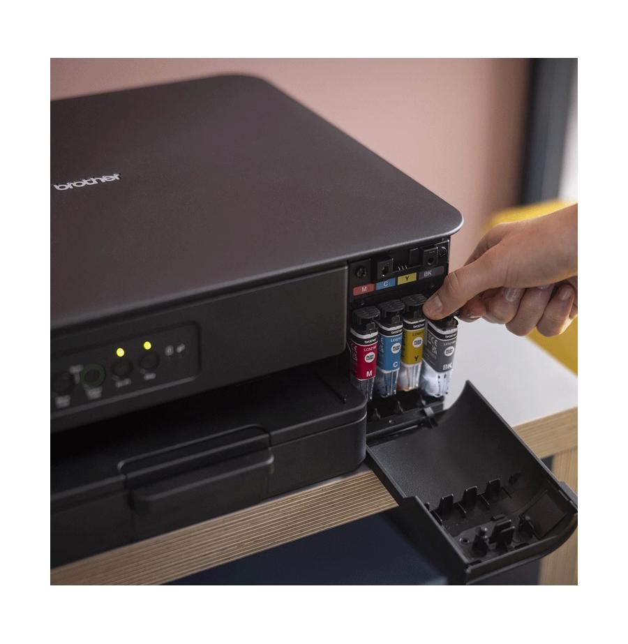 resized_Cat_485325_12139_