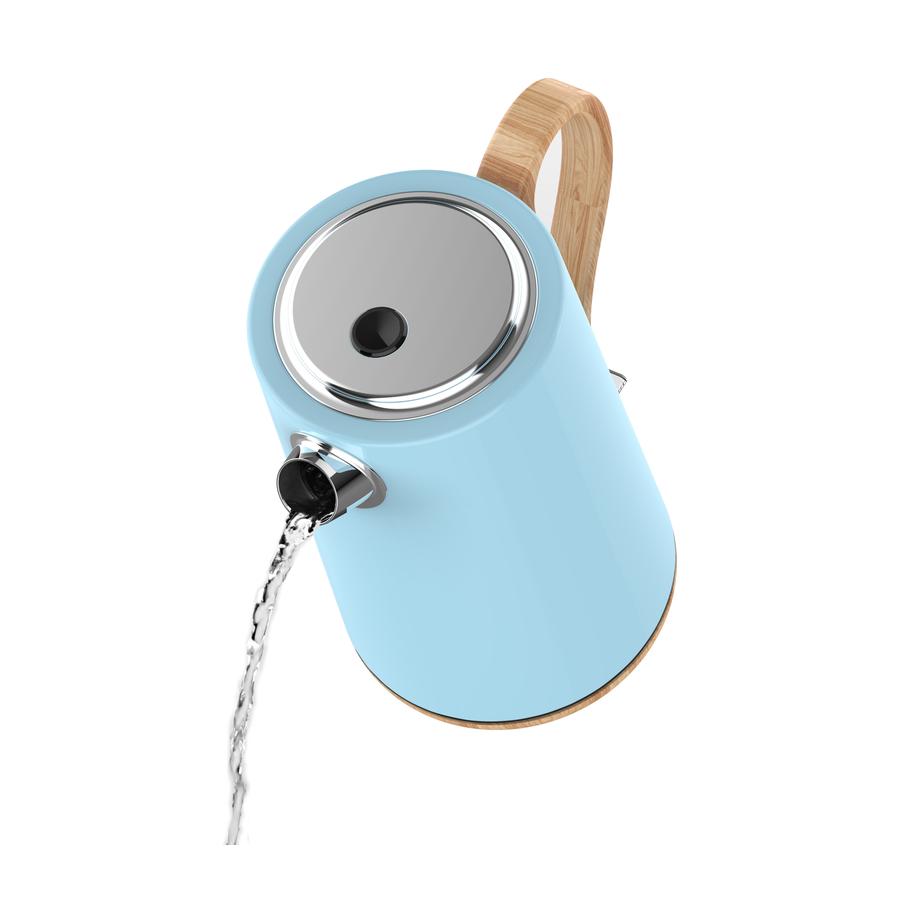 resized_858 תכלת (1)_