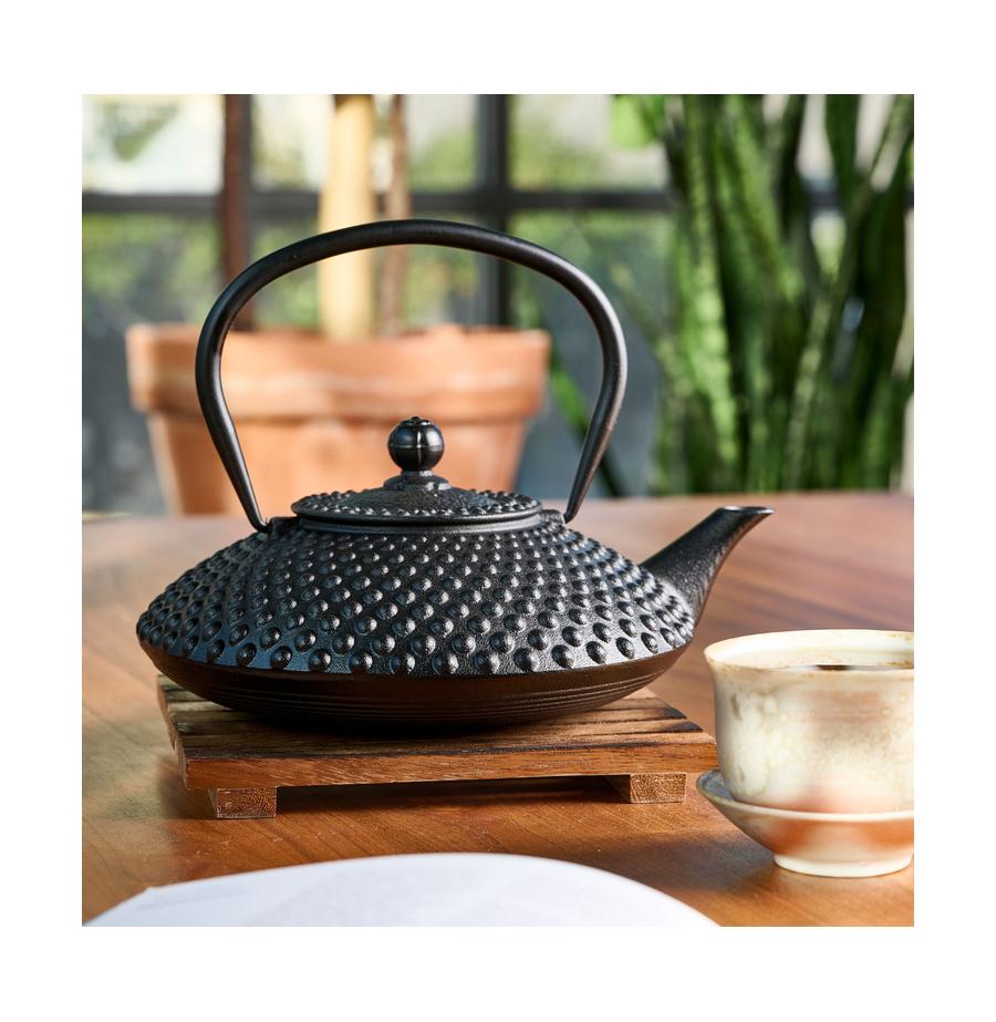 resized_33A0503_IronTeaKettle_3500A__39586_
