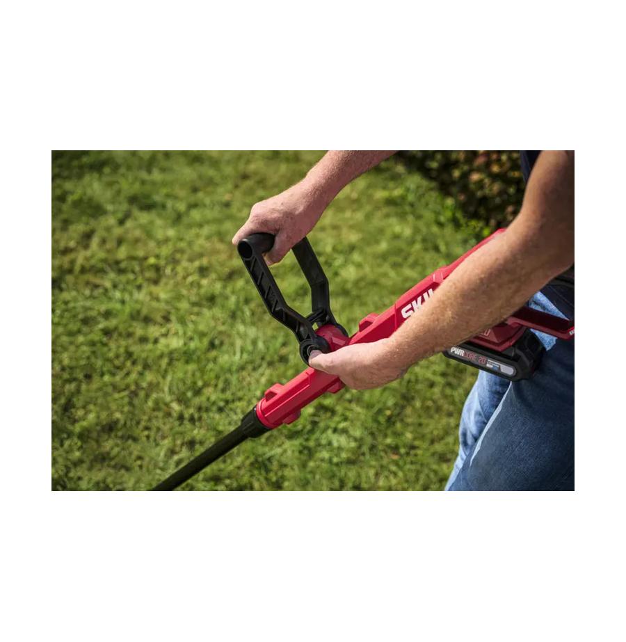 resized_Cat_497160_5445_