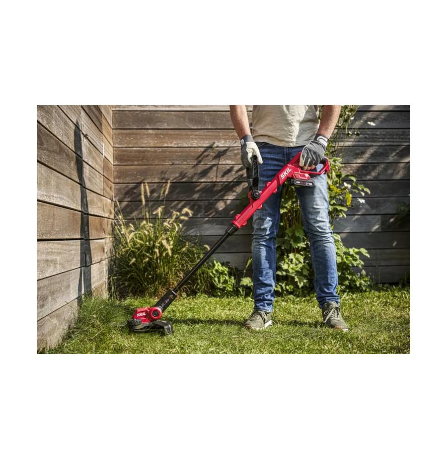 resized_Cat_497160_5446_