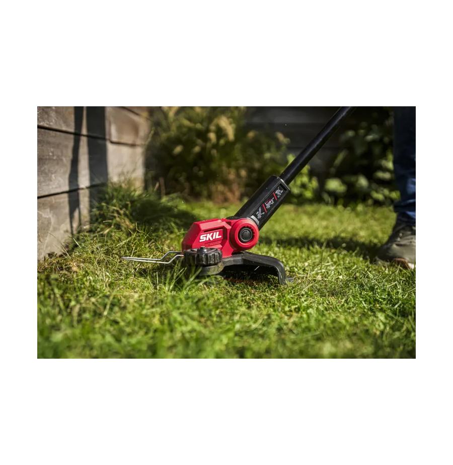 resized_Cat_497160_5447_