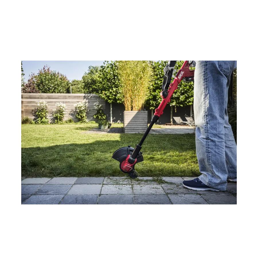 resized_Cat_497160_5448_