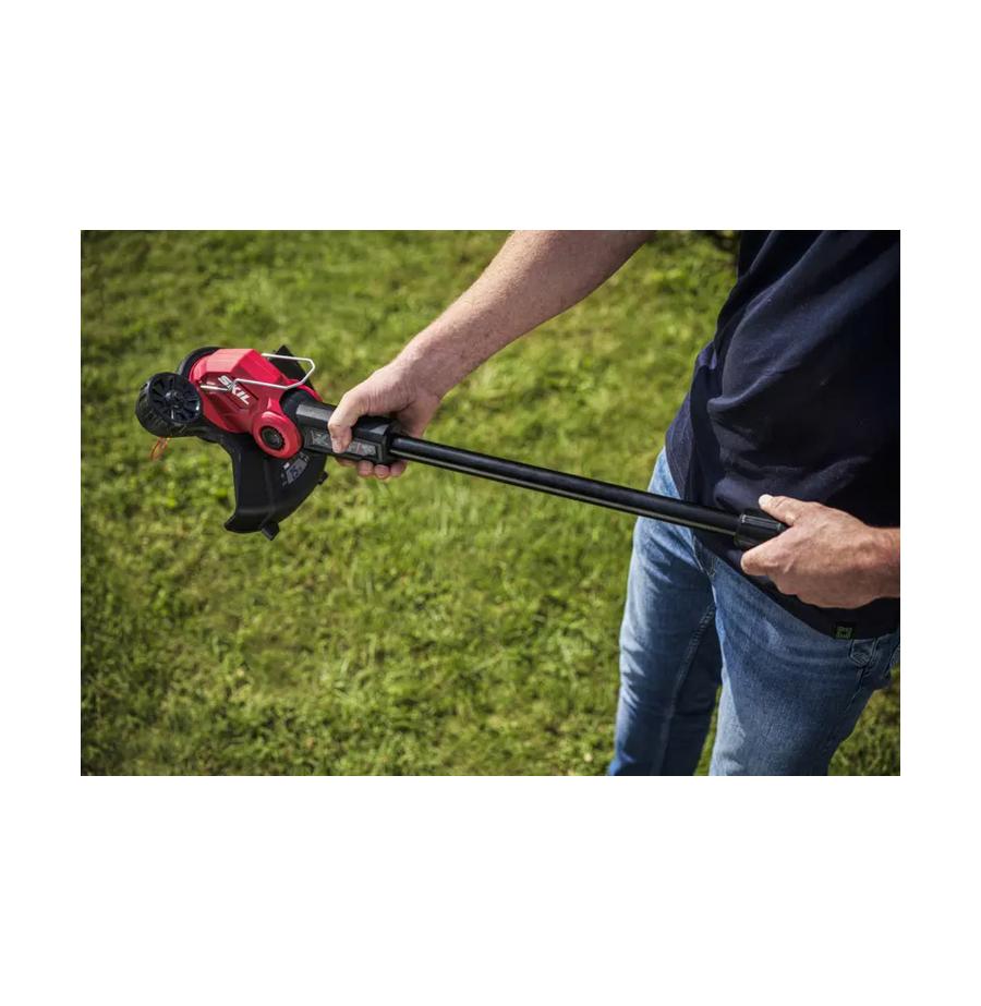 resized_Cat_497160_5449_