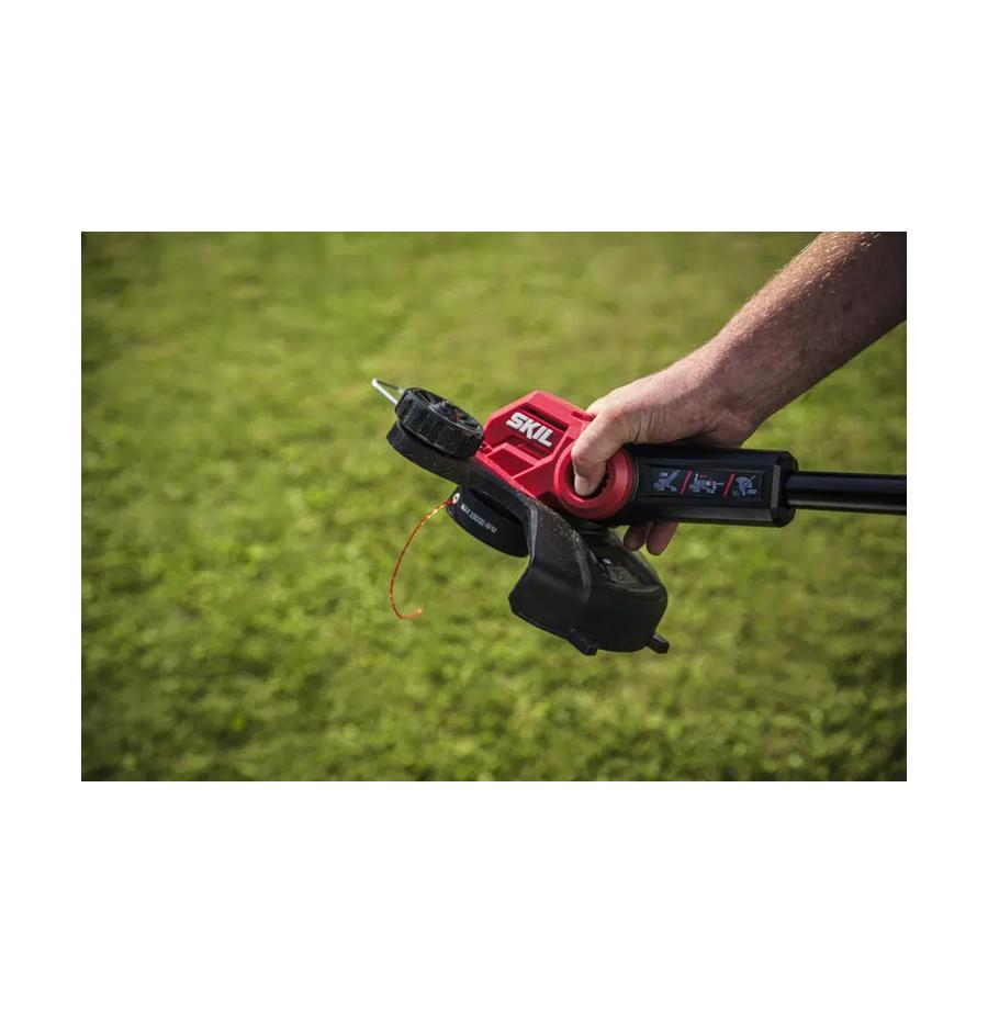 resized_Cat_497160_5450_