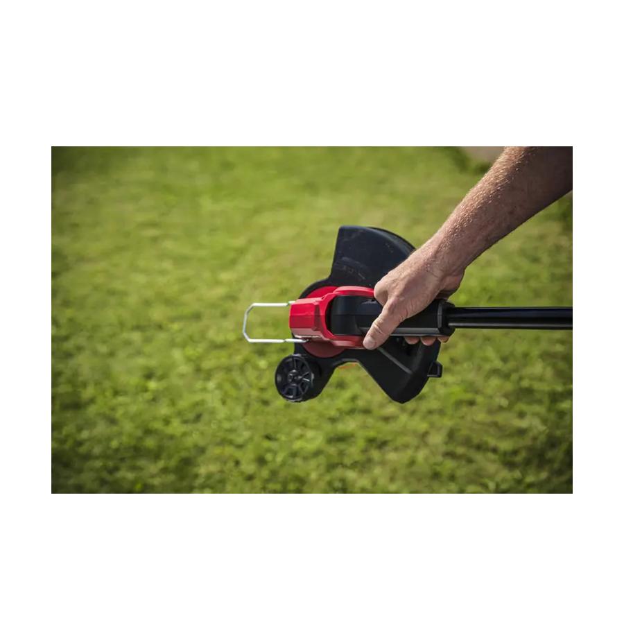 resized_Cat_497160_5451_